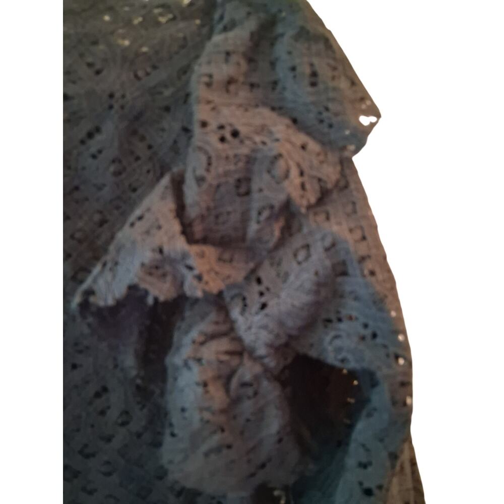 Zara Black Lace Long-Sleeve Crop Top - Picture 6 of 8